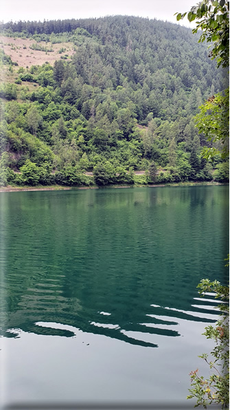 foto Lago di Lases